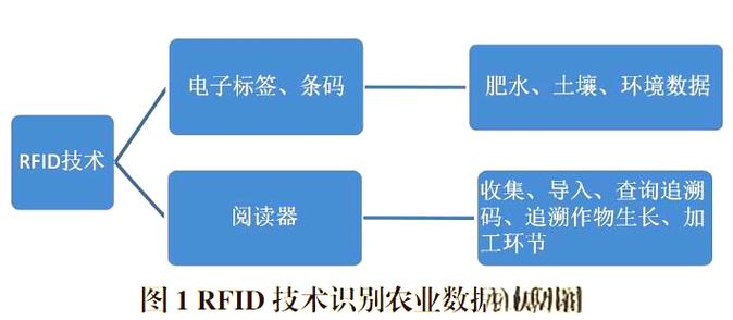 物联网技术引领设施农业革新，助推智慧农业发展